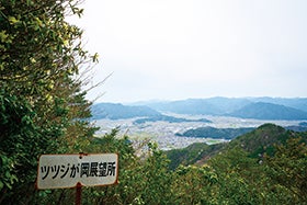 姫路・明石発
№9896 ふるさと兵庫100山&番外編 向山1